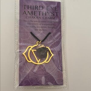 Third Eye Amethyst Chakra Charm…Black Cord…Energy Center in Your Body
